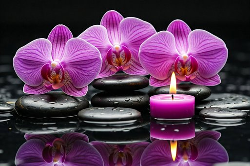 Lys, Blomst, Berolige, Fredelig, Fred