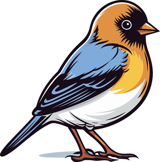 Free nature animal finch vector