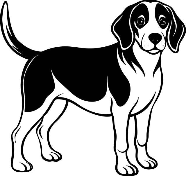 Free Dog Animal vector and picture