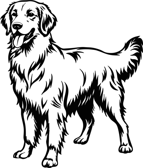 Free golden retriever dog animal vector