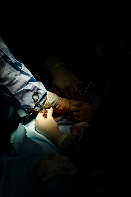 Free Medicina Medicine illustration and picture