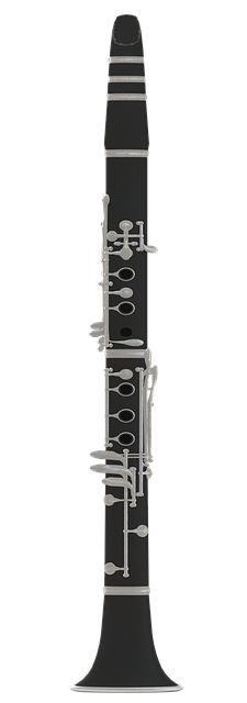 Free clarinet music instrument illustration