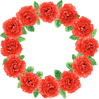 Nelke, Blumen, Frühling, Tag Der Lehrer