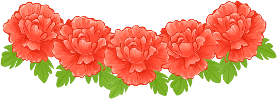 Nelke, Blumen, Frühling, Tag Der Lehrer