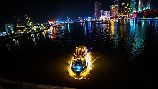 Free Saigonvietnam Night photo and picture