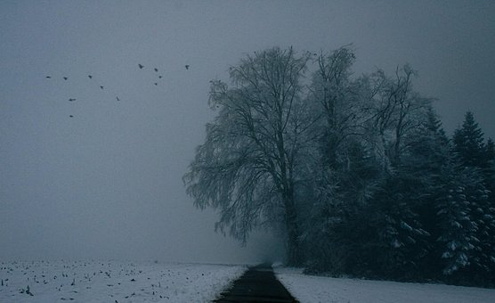 Free Mystical Nature photo and picture