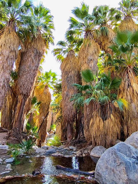 Free California Landscape photo and picture