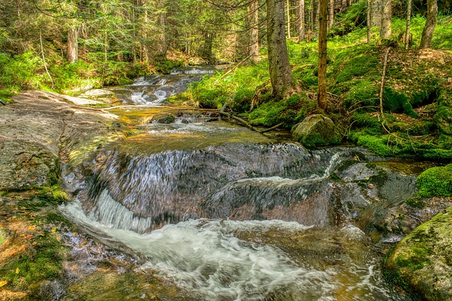 Free Flow Stream photo and picture
