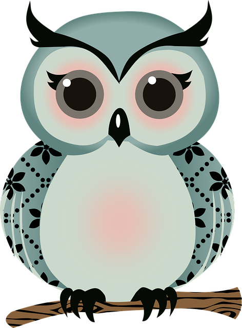 Free Owl Bird vector and picture