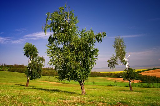 Landschaft, Natur, Berge, Wolken, Bäume