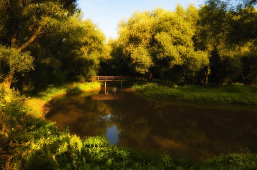 Surreal, Fantasie, Surrealismus, Natur