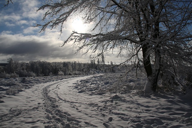 Free Winter Snow photo and picture