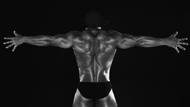 Free Man Body Builder photo and picture