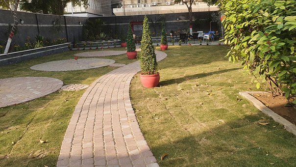Free Lawn Grass photo and picture