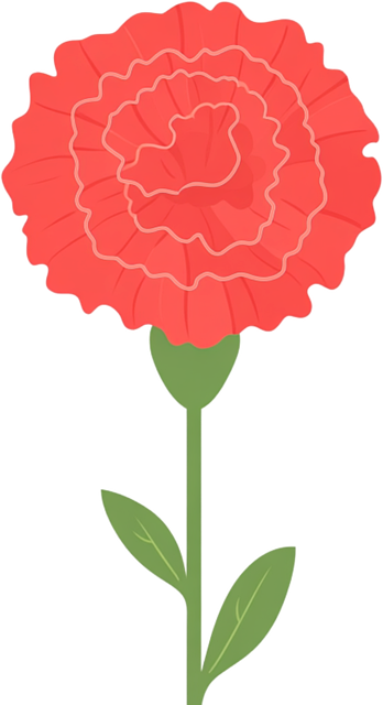 Nelke, Blumen, Frühling