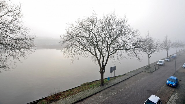 Free Fog The Zaan photo and picture