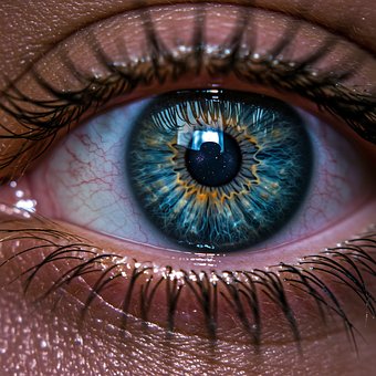Free Eye Vision illustration and picture