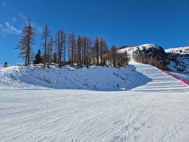 Free Ski Skiing photo and picture