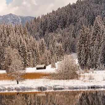 Bäume, Wald, Schnee, Berge, Kalt