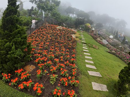Free On The Mountain Núi photo and picture