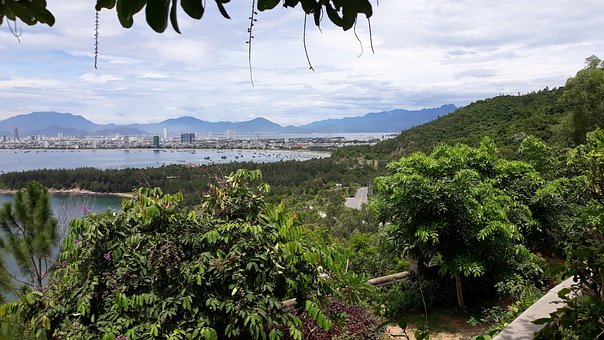 Free Bán Đảo Sơn Trà Nature photo and picture