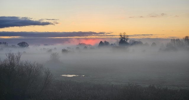 Natur, Bäume, Nebel, Sonnenaufgang