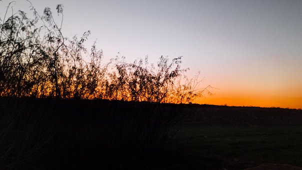 Free Evening Sunlight photo and picture
