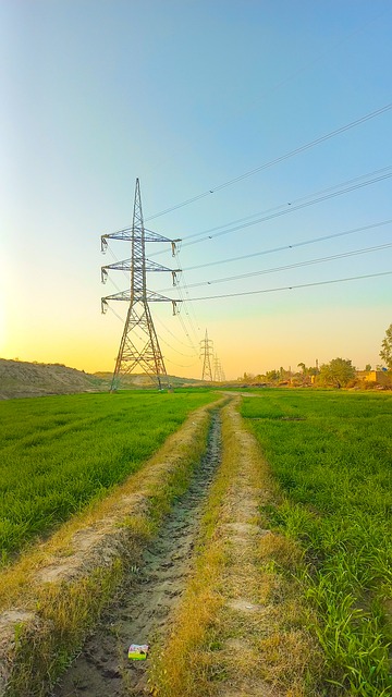Free Nature Forest photo and picture