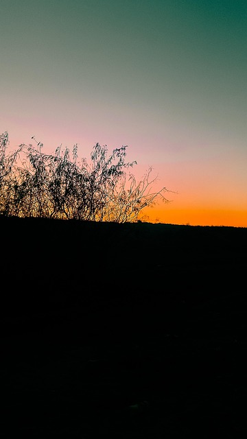 Free Sunset Nature photo and picture