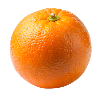 Free An Orange Orange illustration and picture