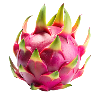 Free Ai Generated Dragon Fruit illustration and picture
