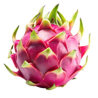 Free Ai Generated Healthy illustration and picture