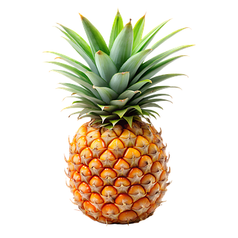 Free Organic Fruit illustration and picture