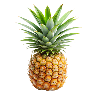 Free Pineapple Fruit illustration and picture