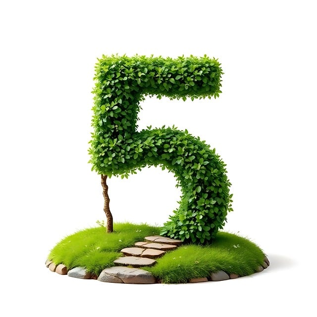 Free five number 5 illustration