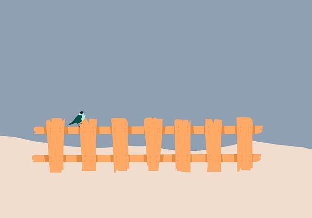 Free fence bird winter illustration