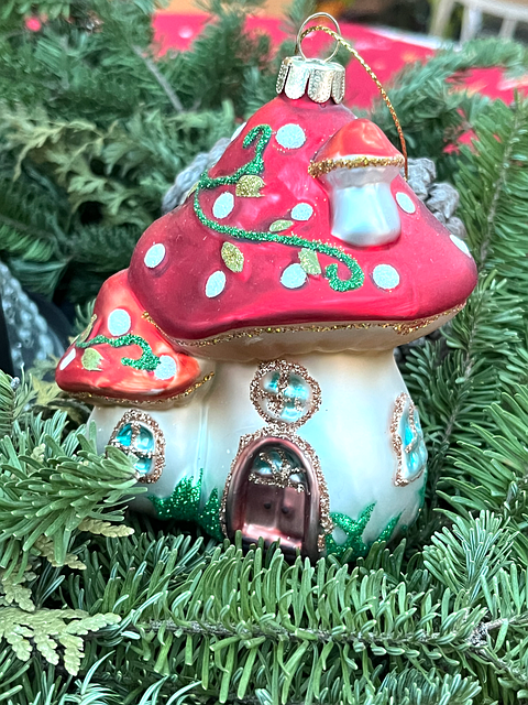 Tod, Pilz, Natur, Wald, Rot, Haus