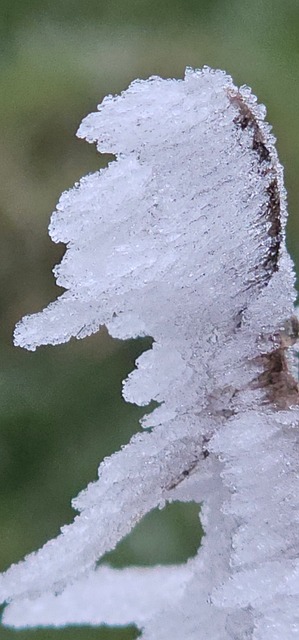 Frio, Inverno, Neve, Geada