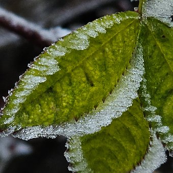Neve, Natureza, Frio, Panorama