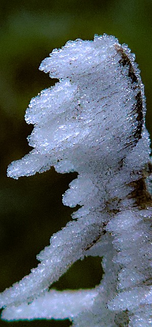 Inverno, Frio, Neve, Paisagem De Inverno