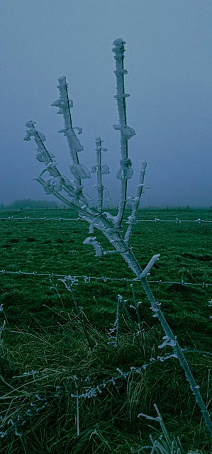 Paisagem De Inverno, Inverno