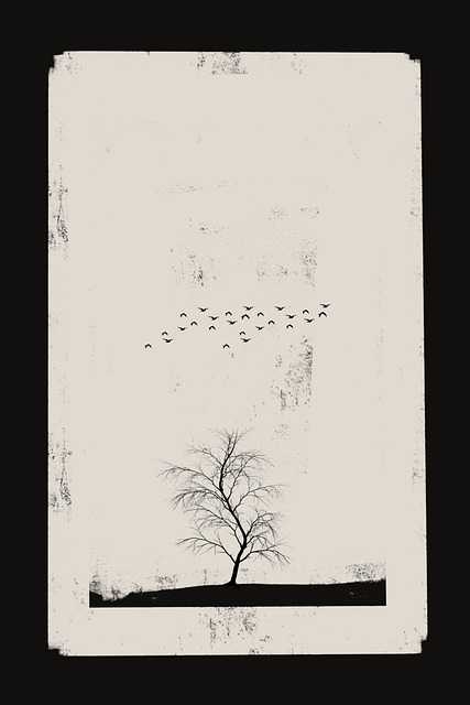 Free Minimalist Black illustration and picture