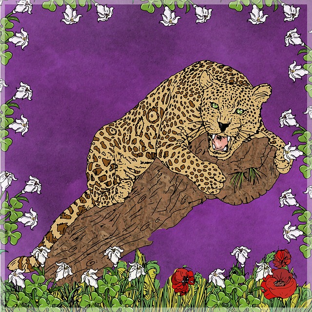 Free panther animal leopard illustration