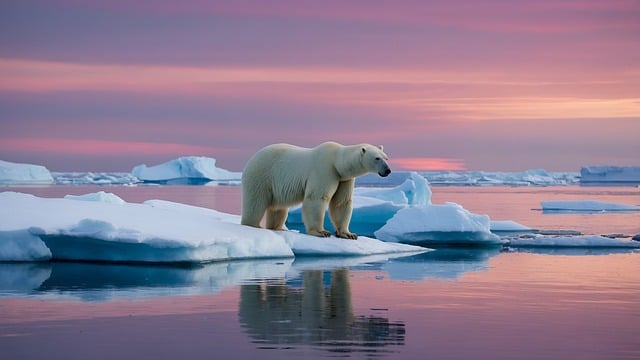 Free ai generated icebear 4k illustration