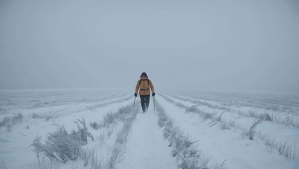 Besneeuwd, Winter, Sneeuw, Natuur, Koud