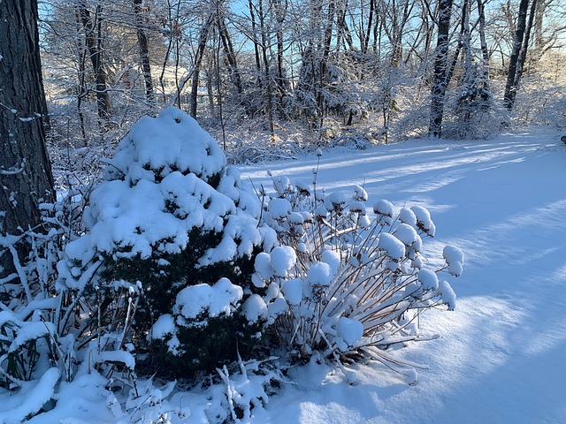 Neve Natureza Panorama - Foto gratuita no Pixabay
