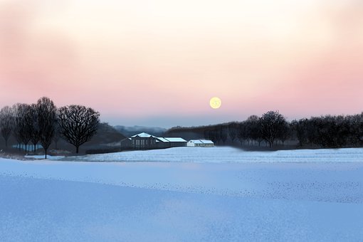 Free Winter Snow photo and picture