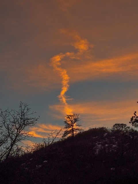 Jetstrøm, Træ, Solnedgang, Natur