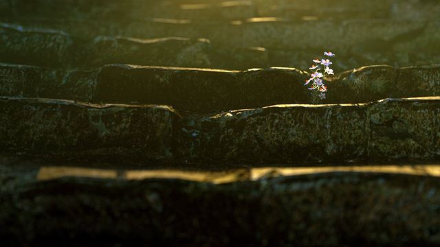 Free flowers morning light stone steps illustration
