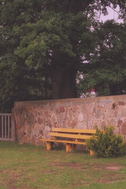 Mesa De Trabajo, Pared, Valla, Árbol